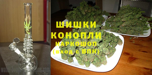 дурь Арсеньев