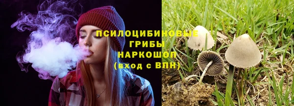 дурь Арсеньев
