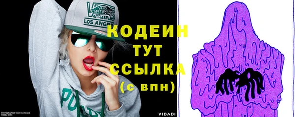 дурь Арсеньев